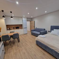 1-комнатные апартаменты студия