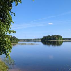 Фото Дизайн-отель Seliger Club (Селигер Клуб)
