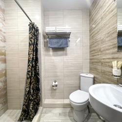 Номер стандарт с 1 двуспальной кроватью (Корпус Сильвер)