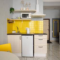 Апартаменты студия Loft-II