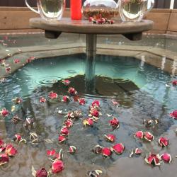 Фото Отель Елки-Палки