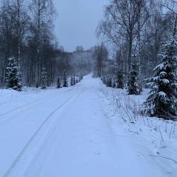 Фото Отель Хутора на озере Алё