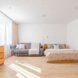 1-комнатные апартаменты стандарт Готвальда 24/5 4 эт