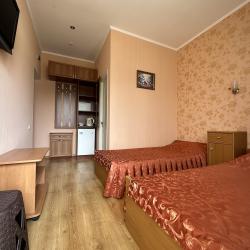 Фото Отель Лев