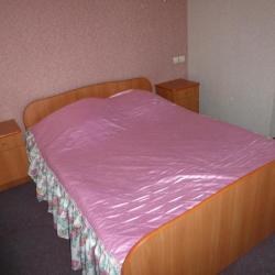 Фото Отель Мила