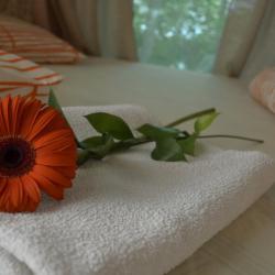 фото 78 Mila Guest House (Мила Гест Хаус)