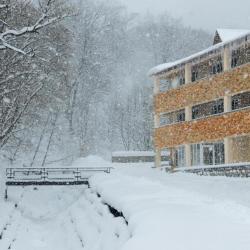 Фото Отель Tsaghkahovit Hotel (Цахкаовит)