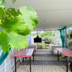 Фото Отель Южные ночи