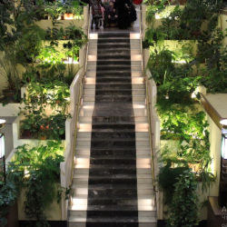 фото 8 Le Grande Plaza (Ле Гранд Плаза)