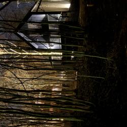 Фото Отель Звен Дзен