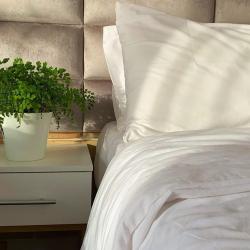 Фото Отель Olimp Hotel (Олимп)