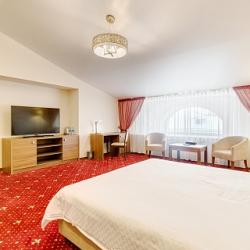 Номер люкс с 1 двуспальной кроватью