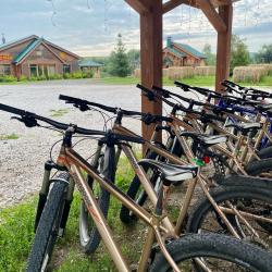 Фото Отель Золото Алтая