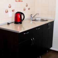 Фото Отель Путник