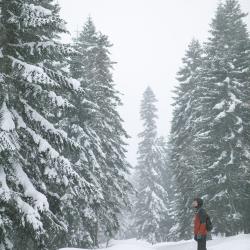Фото Отель Base Camp (Бэйс Кэмп)