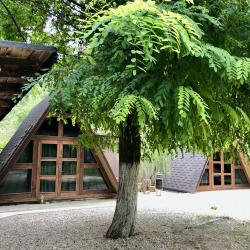 Фото Отель Бунгало