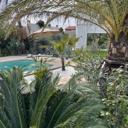 Фото Отель Little Palm (Литл Палм)