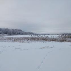 Фото Отель Усадьба Мерево
