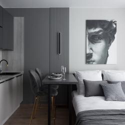 Апартаменты студия RoomyRoom Mr. Grey