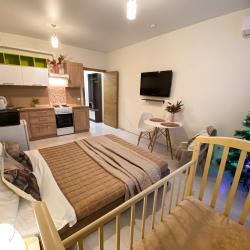 1-комнатные апартаменты студия