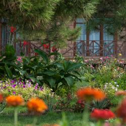 Фото Отель Озеро сновидений