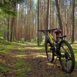 Фото Отель Хуторок Озерный