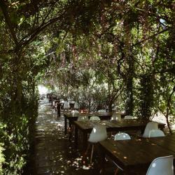 Фото Отель Cross Resort (Кросс Ресорт)