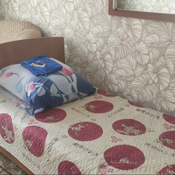 Комната эконом с 2 односпальными кроватями