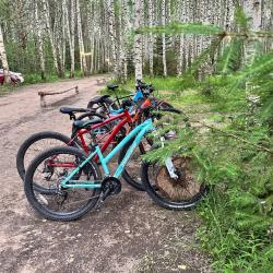 Фото Отель Берег Грифона