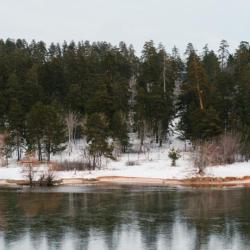Фото Отель Lada Resort (Лада Резорт)