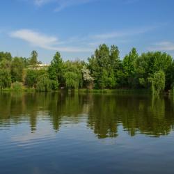 Фото Отель Golden Fish (Голден Фиш)
