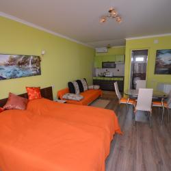 1-комнатные апартаменты студия