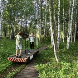 Домик на дереве (удобства вне номера)