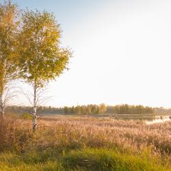 Фото Эко-отель Лесной Ключ
