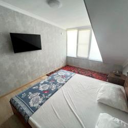 1-комнатные апартаменты стандарт (мансарда)