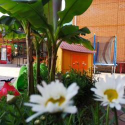 Фото Отель Южная ночь