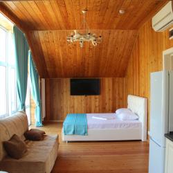 1-комнатные апартаменты люкс (мансарда)