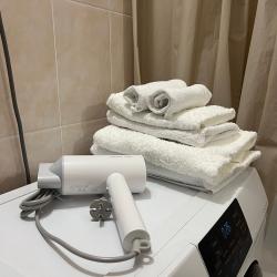 Фото Отель Vetka Home (Ветка Хоум) на улице Мясниковой