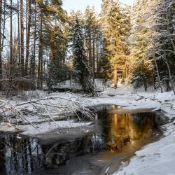 Коттедж премиум 