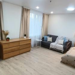 1-комнатные апартаменты стандарт Готвальда 24/5 4 эт