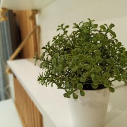 Фото Апартаменты на улице Академика Книповича