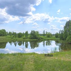 Фото поле-отель