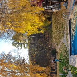 Фото Отель Каменный цветок