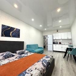 4-местные 1-комнатные апартаменты стандарт Смолина 67/1-59  (студия)