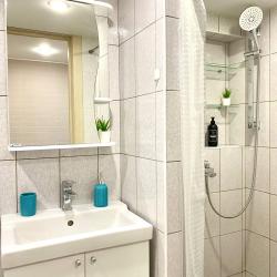 1-комнатные апартаменты улучшенные Grey