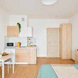 Апартаменты студия RoomyRoom Scandy