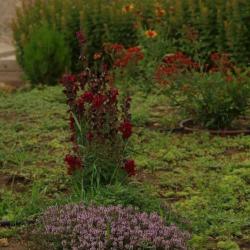 Фото Отель Любимая Усадьба