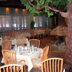 Фото Отель ТИРС