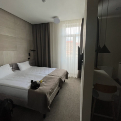 фото 24 Piter Inn (Питер Инн)