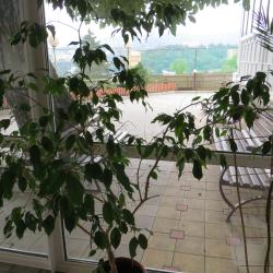 Фото Отель Кубань